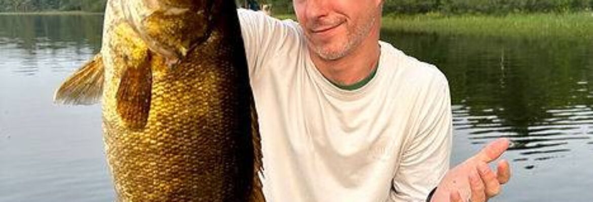 Teacher Todd Guide Service